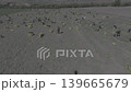 雪山高山牧场及森林航拍素材 139665679