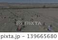 雪山高山牧场及森林航拍素材 139665680