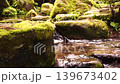 Daiozan Seiji Temple 139673402