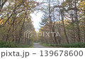 果てしない林道 139678600
