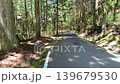 Nature walk 139679530