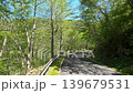 Nature walk 139679531