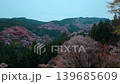 奈良，吉野山，千樹一覽 139685609