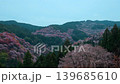 奈良，吉野山，千樹一覽 139685610