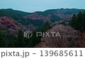 奈良，吉野山，千樹一覽 139685611