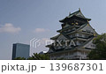 An airplane flew over Osaka Castle and Osaka Business Park. 139687301
