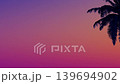 Palm silhouettes against pink-purple sunset sky in a seamless loop 139694902
