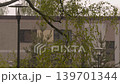 Helsinki.Finland-June 1.2022: Rainfall in Helsinki Finland during summertime. Urban residential area. Spring and summer. Lantern posts. Nature. Greenery in the city. Panel house in the background. 139701344