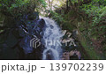 緑に囲まれた岩肌を流れ落ちる清らかな滝と透明な滝つぼ（佐賀県鳥栖市・御手水の滝） 139702239