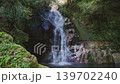 緑に囲まれた岩肌を流れ落ちる清らかな滝と透明な滝つぼ（佐賀県鳥栖市・御手水の滝） 139702240