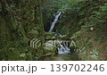 緑に囲まれた岩肌を流れ落ちる清らかな滝と透明な滝つぼ（佐賀県鳥栖市・御手水の滝） 139702246