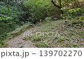 新緑の木漏れ日と苔むした石段が美しい山道・ハイキングコース（佐賀県鳥栖市） 139702270