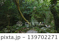 深い森の中に静かに佇む苔むした古い石仏と自然の静寂（佐賀県鳥栖市・御手水の滝） 139702271