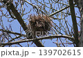 A wooden ball 139702615