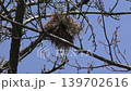 A wooden ball 139702616