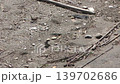 Sparrow 139702686