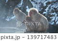地獄谷の猿 139717483
