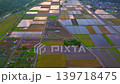 Beautiful rice paddies with rising sky 139718475