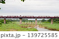 Handheld Wide Shot of Kruger Shalati Train Hotel on Selati Bridge, South Africa 139725585