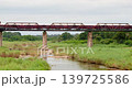 Handheld Wide Shot of Kruger Shalati Train Hotel on Selati Bridge, South Africa 139725586