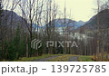 Quiet Forest Road with Fjord and Mountain Views 139725785
