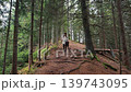 Young Woman Walking On Forest Trail Between Spruce Trees, cinematic hiking video frame with roots, moss and quiet mountain woodland 139743095