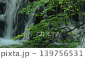 新緑の坊主ヶ滝 139756531