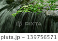 初夏の坊主ヶ滝 139756571