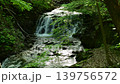 初夏の坊主ヶ滝 139756572