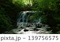 初夏の坊主ヶ滝 139756575
