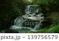 初夏の坊主ヶ滝 139756579
