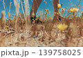Low angle cinematic shot of person legs walking through dry desert flowers field in Palm Springs California 139758025