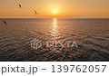 The blue sea glows orange, and seabirds soar. 139762057