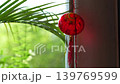 Red Chinese lantern with decorative character meaning fortune and prosperity in English hangs near a window with festive traditional symbolism and peaceful cultural atmosphere. 139769599