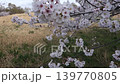 Shimei Yoshino陷入了蔚藍的天空 139770805