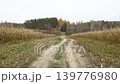 A dirt path winds through fields and trees under a cloudy sky during autumn. The landscape shows tall grass and colorful trees. 139776980