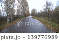 Rain creates puddles on a tree-lined road in an autumn setting, showing the beauty of nature and seasonal change. 139776989