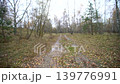 Dirt paths in the forest surrounded by trees and fallen leaves on the ground in the autumn season. 139776991