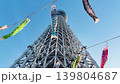 Colorful carp streamers known as koinobori flutter in the wind against a blue sky. The famous Tokyo Skytree tower stands tall in the background of this low angle shot.  139804687
