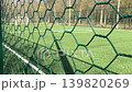 White dividing line between two areas of the sports field. 139820269