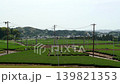 五月春日景色，俯瞰靜岡縣掛川市和田岡茶園。 139821353