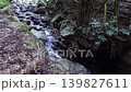 A forest stream flowing over moss-covered rocks: a healing background image of nature. 139827611