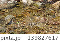 The surface of the clear stream allows you to see the riverbed; a refreshing summer mountain stream. 139827617