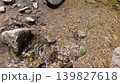 Clear, shallow waters flowing over pebbles, the surface of the sparkling stream. 139827618