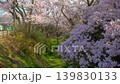 長野 高遠城址公園 満開の桜 139830133