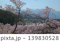 長野 高遠城址公園から望む中央アルプス 139830528