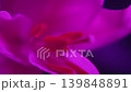 Flower, red, CMY, lily, petals, light and shadow, lighting, skeleton, sparkle, soft focus, close-up, slow 139848891