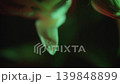 Flowers, red, blue, yellow, green, purple, CMY, lily, petals, water droplets, light and shadow, lighting, skeleton, sparkle, slow 139848899