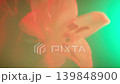 Flower, white, red, blue, yellow, green, purple, lily, petals, water droplets, light and shadow, skeleton, lens flare, HS 139848900