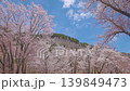 Cherry blossoms at Byobu-iwa Park in Soni Village, Nara Prefecture (Part 2) 139849473